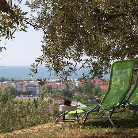 Istrian Casa Ladonia By Locap Group Villa Portorož Exteriör bild