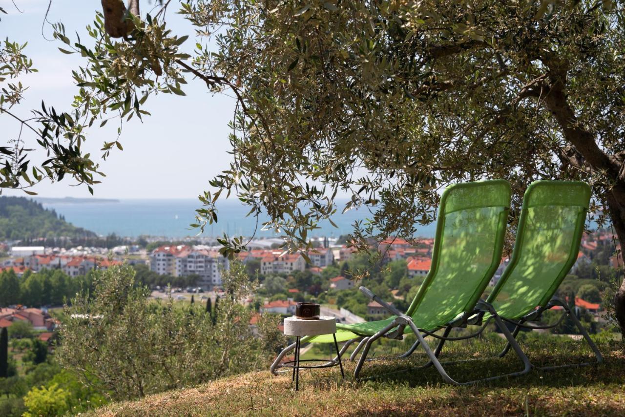 Istrian Casa Ladonia By Locap Group Villa Portorož Exteriör bild