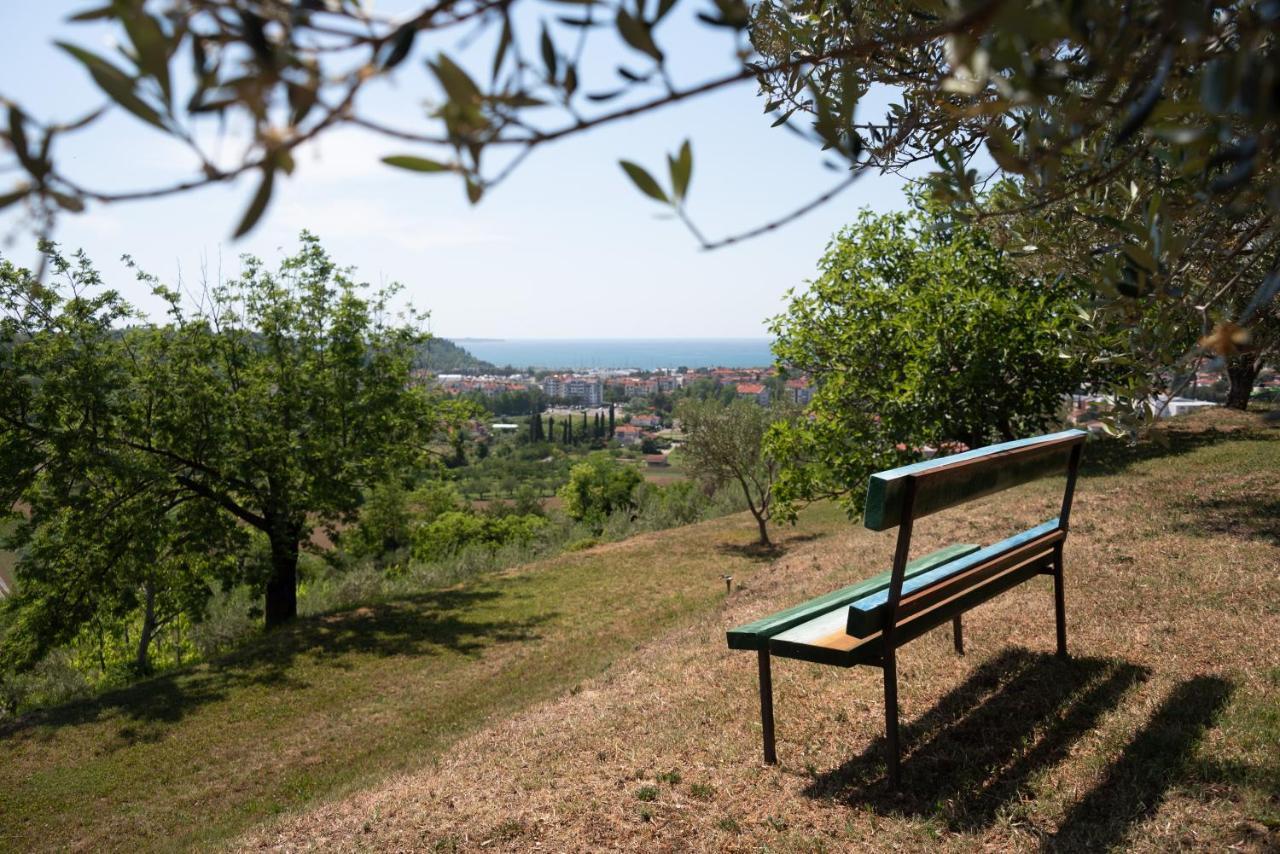 Istrian Casa Ladonia By Locap Group Villa Portorož Exteriör bild